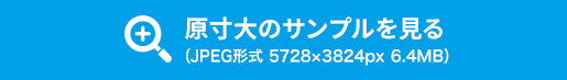 原寸大のサンプルを見る（JPEG形式 5728×3824px 6.4MB）