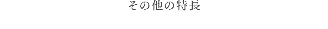 その他の特長