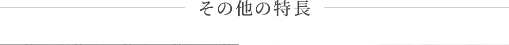 その他の特長