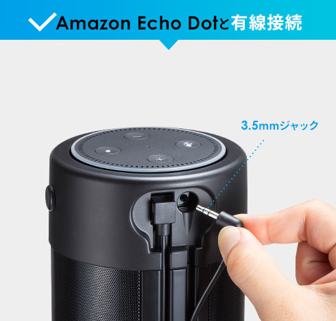 Amazon Echo Dotと有線接続