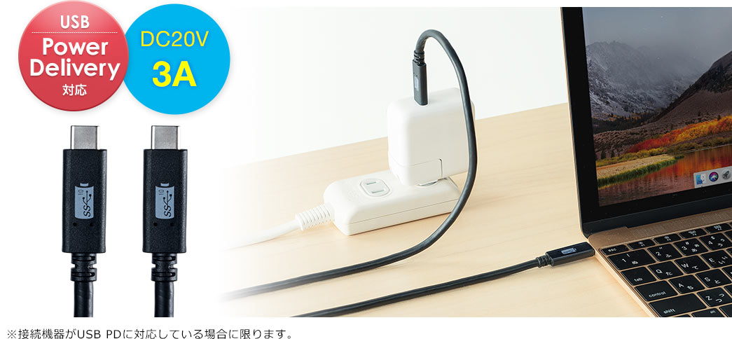 USB PowerDelivery対応 DC20V 3A