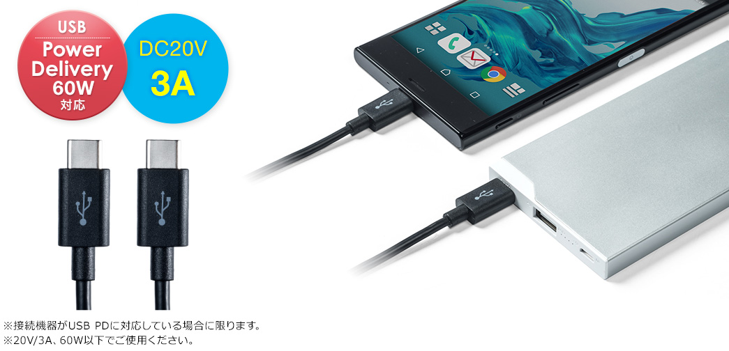 USB PowerDelivery対応 DC20V 3A