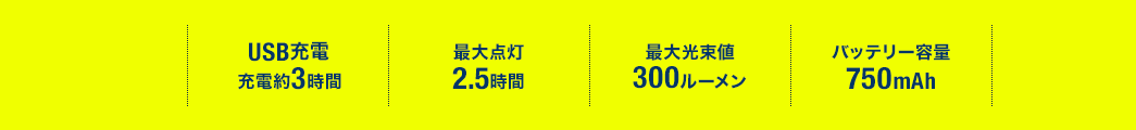 USB充電 充電約3時間 最大点灯2.5時間 最大光束値300ルーメン バッテリー容量750mAh