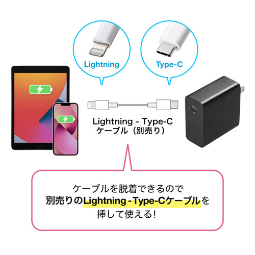 別売のLightning-Type-Cケーブルも挿せる