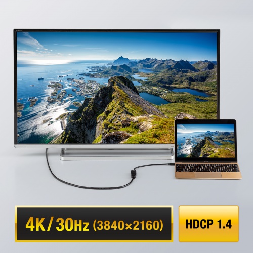 高輝度HDR、HDCP1.4/2.2対応