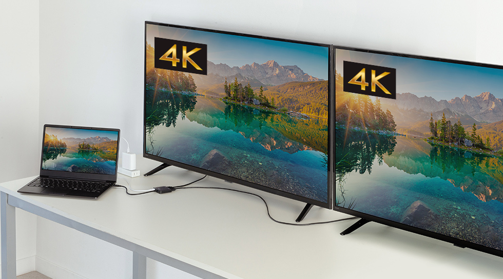 4K高画質×2画面の同時出力の説明画像