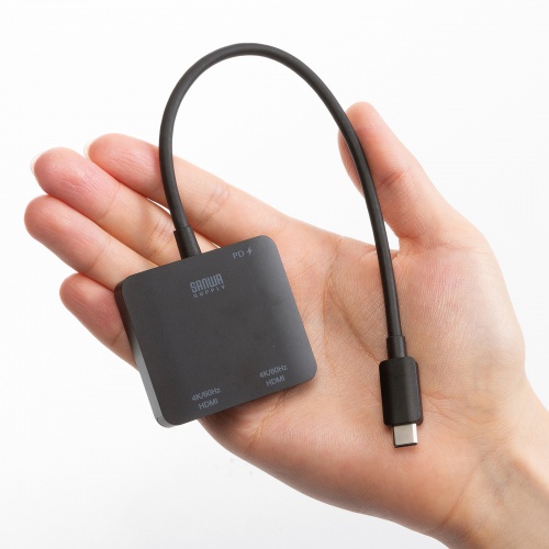 製品が手の中に収まっている画像