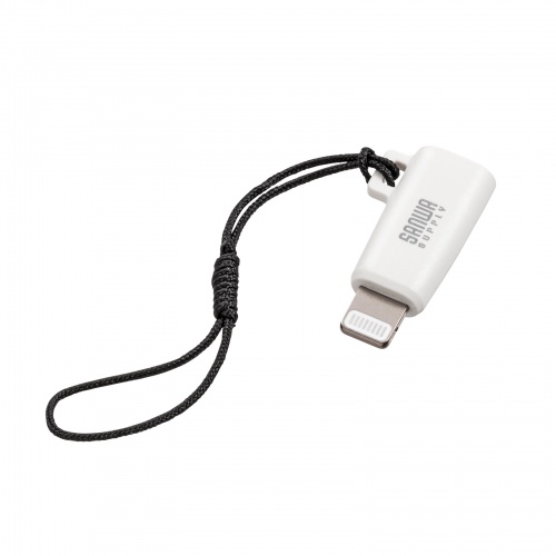 ホワイト（AD-USB30LCFW）の画像