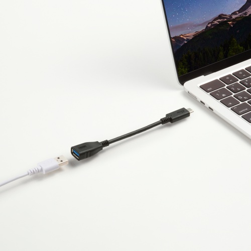 USB AコネクタをType-Cコネクタに変換できる