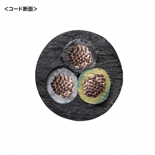 3心タイプの電源コード