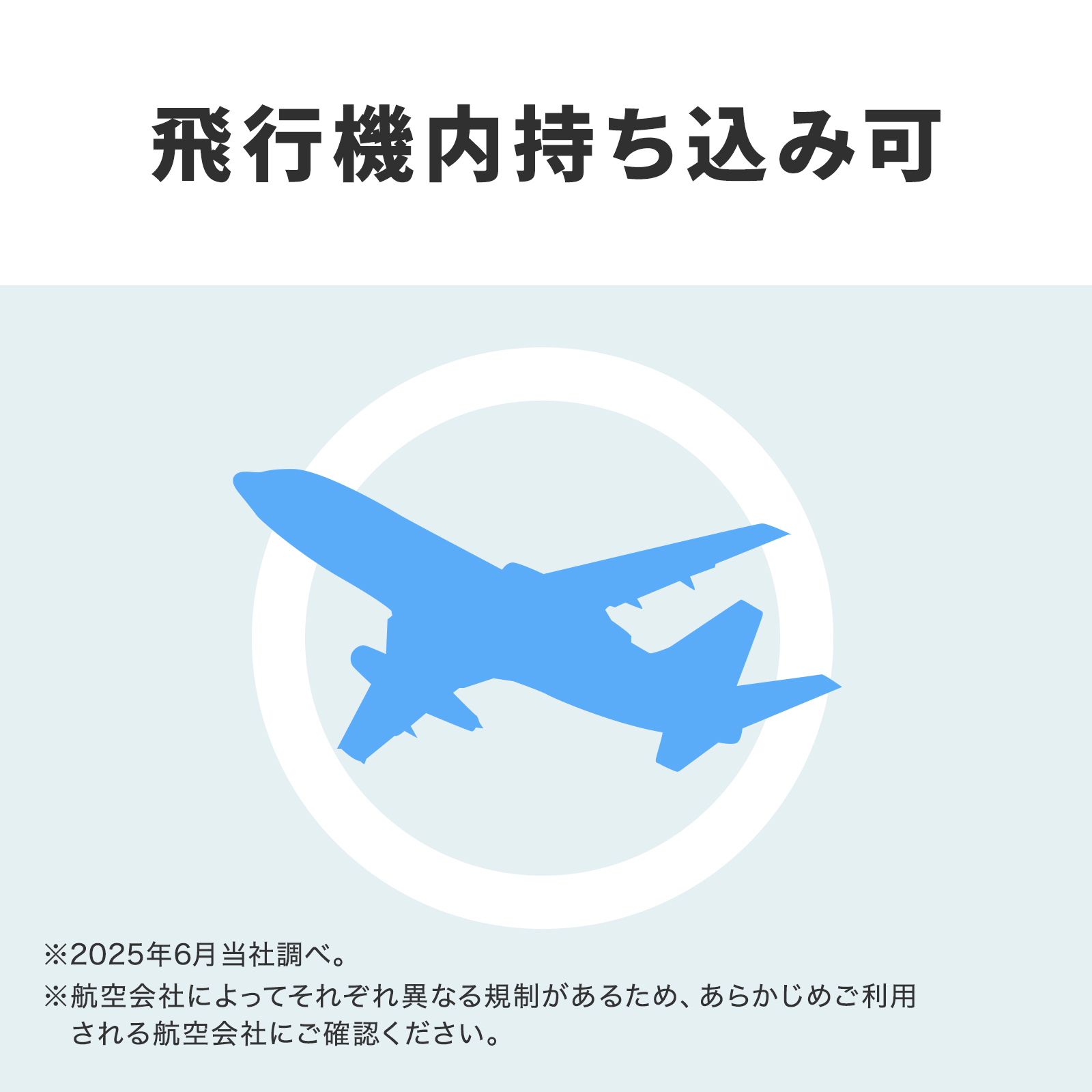 飛行機内持ち込み可