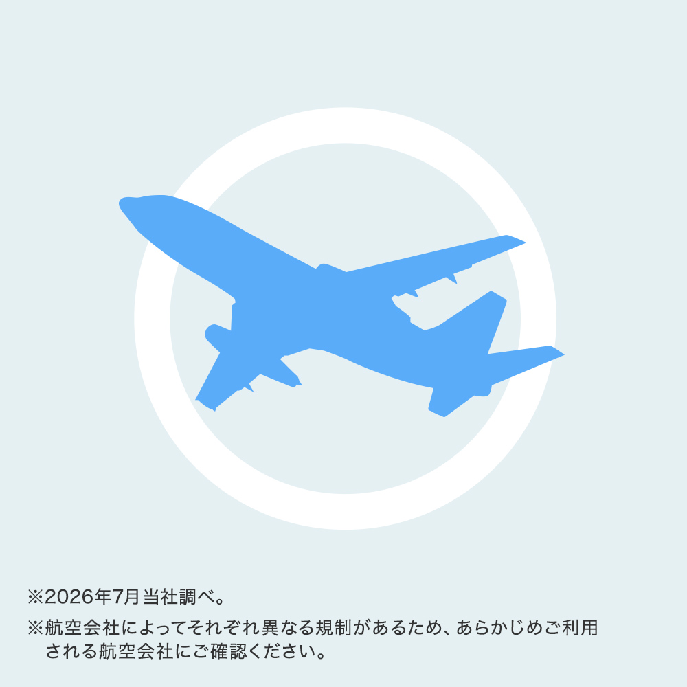 機内持ち込み対応