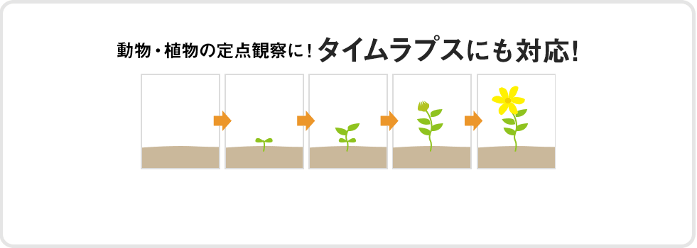 動物・植物の定点観察にタイムプラスにも対応