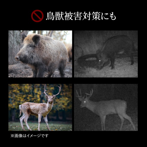 鳥獣被害対策にも