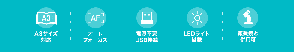 A3サイズ対応 オートフォーカス 電源不要 USB接続 LEDライト搭載 顕微鏡と併用可