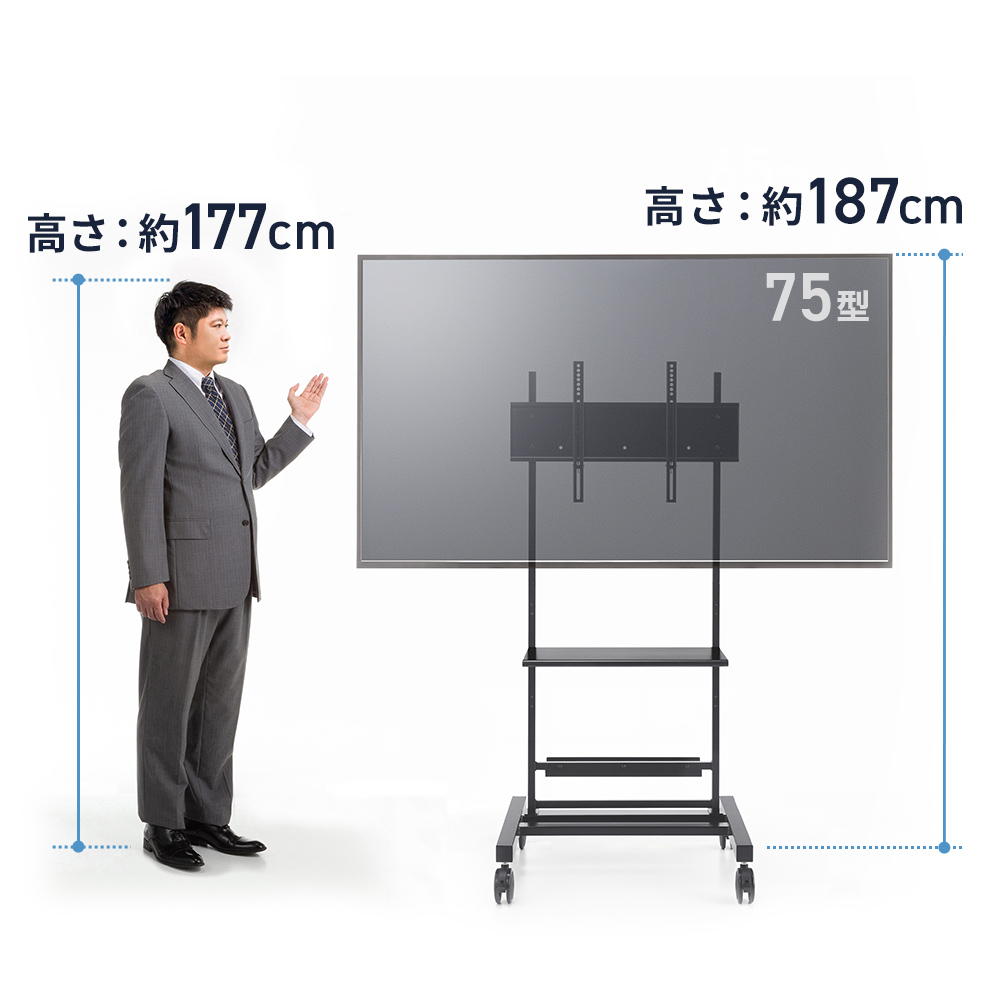サイズ目安