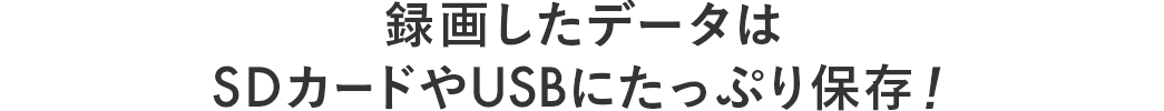 録画したデータはSDカードやUSBにたっぷり保存