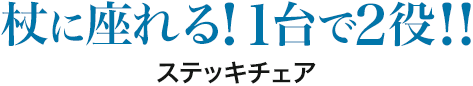 杖に座れる 1台で2役 ステッキチェア