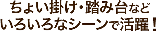 ちょい掛け・踏み台など いろいろなシーンで活躍
