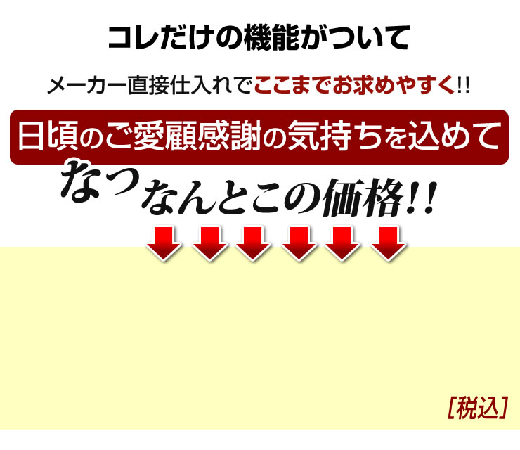 これだけ機能がついてなんとこの価格