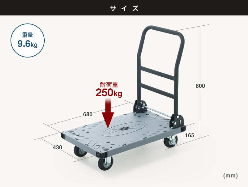 サイズ 重量9.6kg 耐荷重250kg