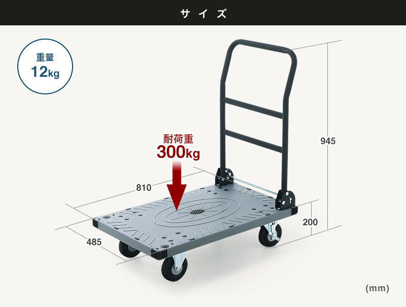 サイズ 重量12kg 耐荷重300kg