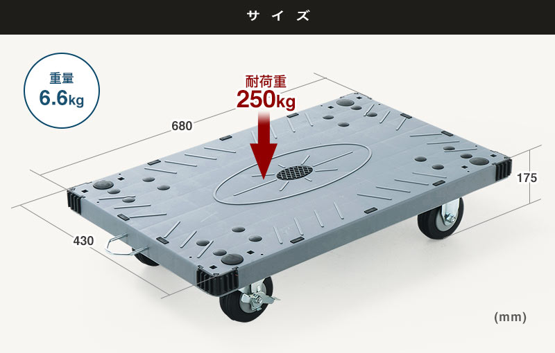 サイズ 重量6.6kg 耐荷重250kg