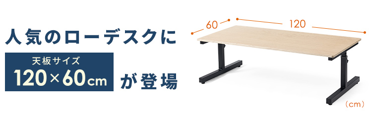 人気のローデスクに 天板サイズ 120×60cm が登場