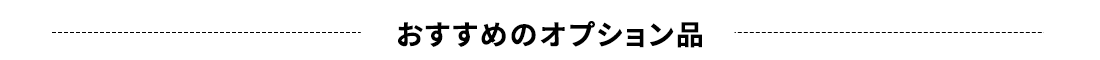おすすめオプション品