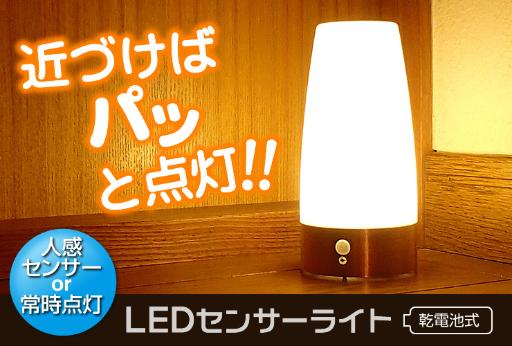 近づけばパッと点灯 LEDセンサーライト 乾電池式