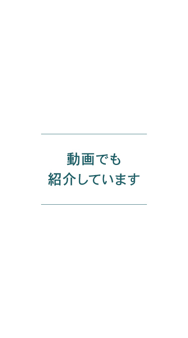 動画でも紹介しています