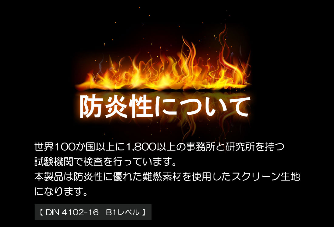 安全性能の実証実験