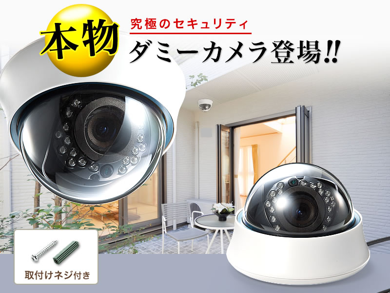 ダミーカメラ 防犯 セキュリティ 監視 ドーム型 屋外 玄関 効果 Eex Slncdotir21 激安通販のイーサプライ