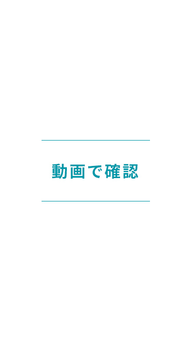 動画で確認