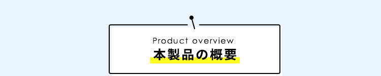 本製品の概要