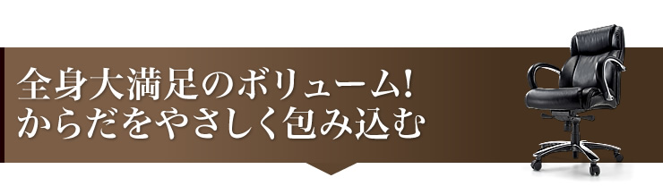 全身大満足のボリューム！からだをやさしく包み込む