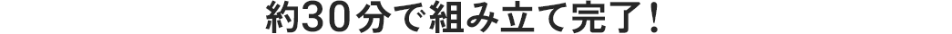約30分で組み立て完了！
