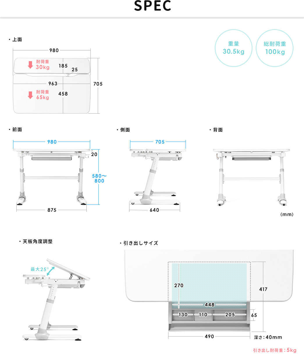 SPEC 総耐荷重100kg