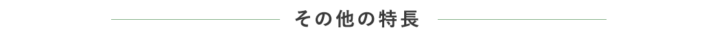 その他の特長