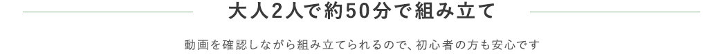 大人2人で約50分で組み立て