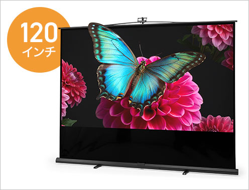 120インチ