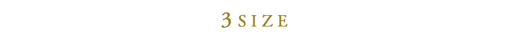 3SIZE