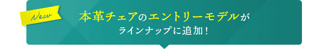 お求めやすい価格の本側チェアがラインナップに追加！