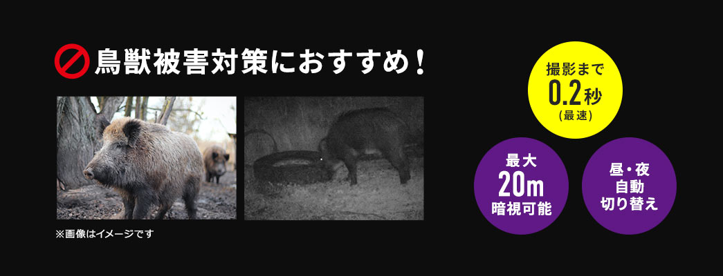 鳥獣被害対策におすすめ 撮影まで0.2秒 最大20m暗視可能 昼・夜自動切り替え