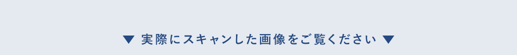 実際にスキャンした画像をご覧ください