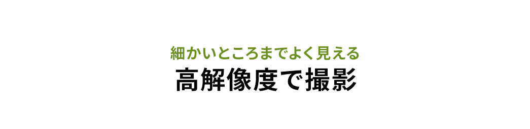 細かいところまでよく見える高解像度で撮影