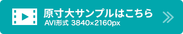 原寸大サンプルはこちら