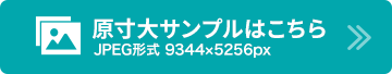 原寸大サンプルはこちら