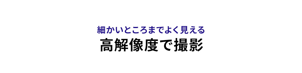 細かいところまでよく見える高解像度で撮影