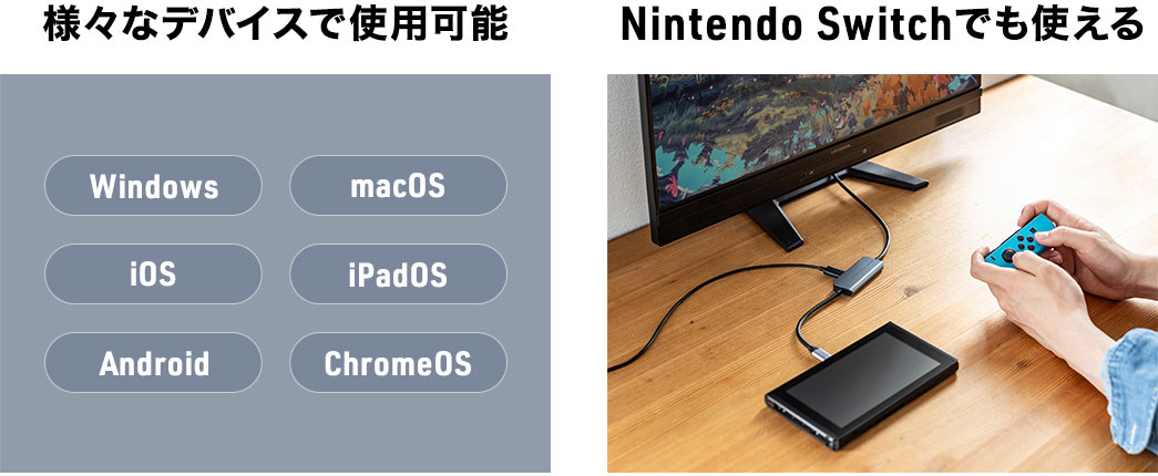 様々なテバイスで使用可能 Nintendo Switchでも使える